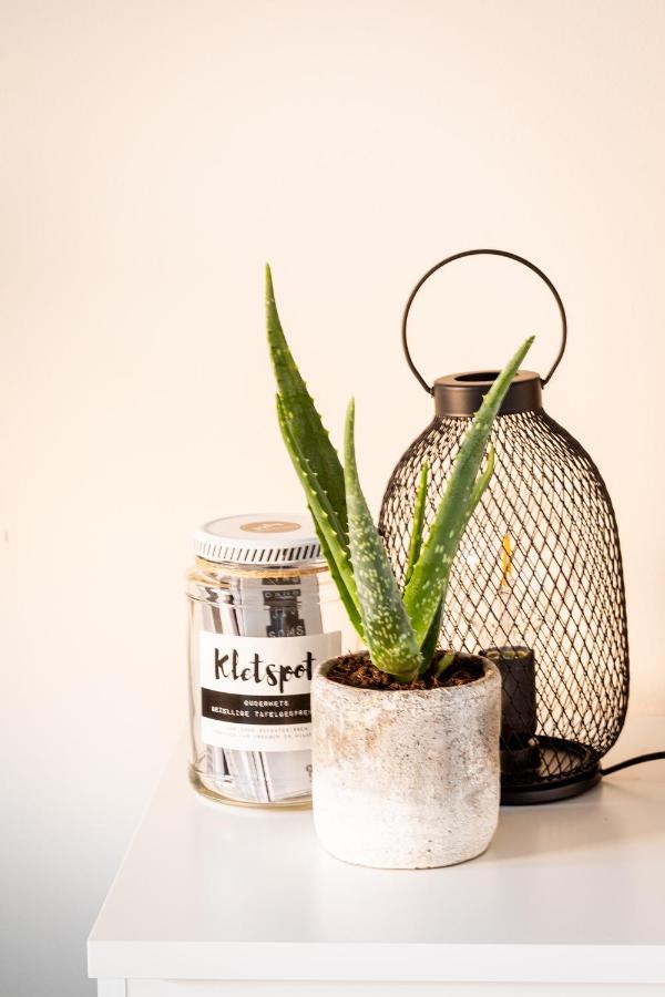 Studio Puuur Zandvoort Dış mekan fotoğraf